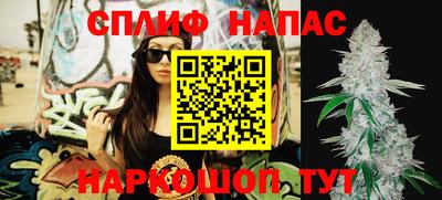 индика Будённовск