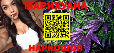 индика Будённовск