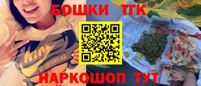 индика Будённовск